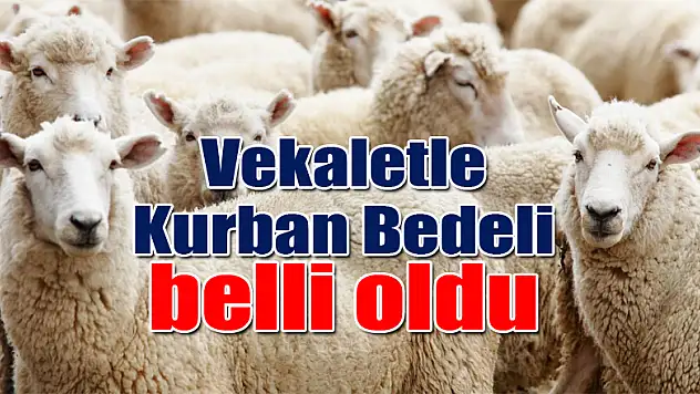 Vekaletle Kurban Bedeli belli oldu