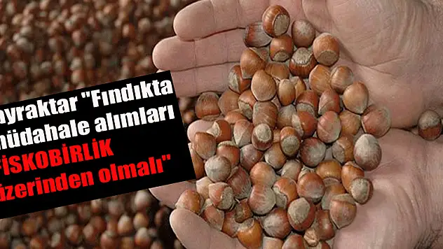 Bayraktar 'Fındıkta müdahale alımları FİSKOBİRLİK üzerinden olmalı'
