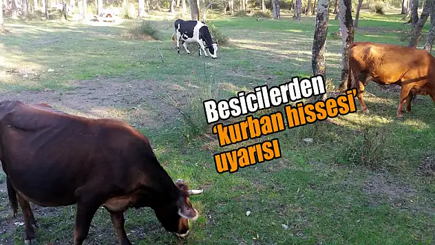 Besicilerden 'kurban hissesi' uyarısı