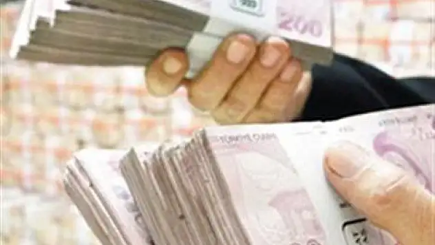 Maliye'den ihbara 1 milyon lira ödül