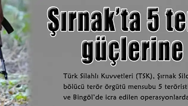 Şırnak'ta 5 terörist güvenlik güçlerine teslim oldu