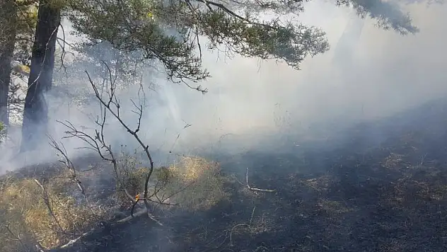 Alaçam'da orman yangını