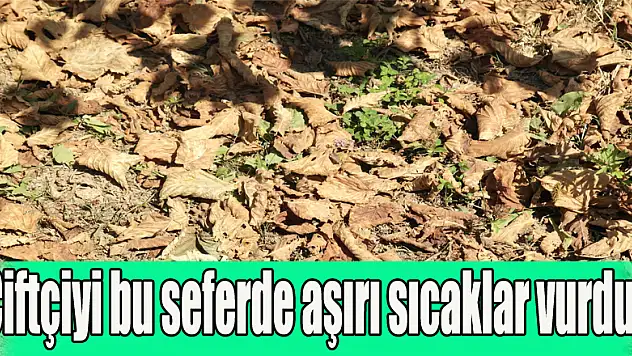 Çiftçiyi bu seferde aşırı sıcaklar vurdu