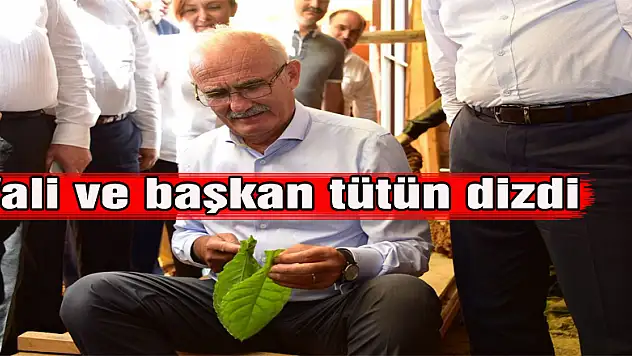 Vali ve başkan tütün dizdi