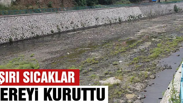 Aşırı Sıcaklar Dereyi kuruttu