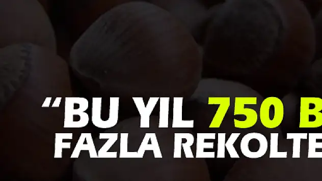 KFMİB Başkanı Sevinç: 'Bu yıl 750 bin tondan fazla rekolte bekliyoruz'