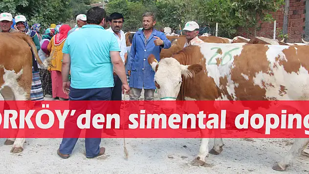 ORKÖY'den simental dopingi