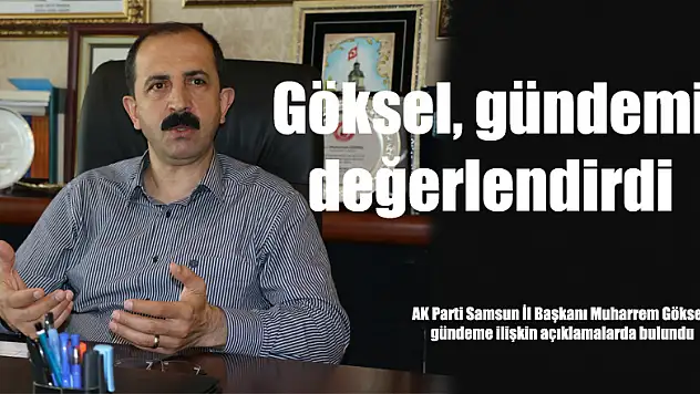 Göksel, gündemi değerlendirdi