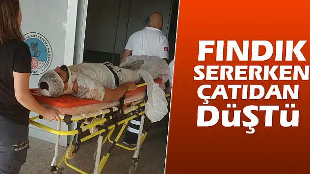 Fındık sererken çatıdan düştü