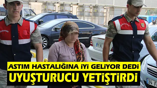 Astım hastalığına iyi geldiği gerekçesiyle uyuşturucu yetiştirmiş