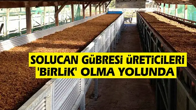 Solucan gübresi üreticileri 'birlik' olma yolunda