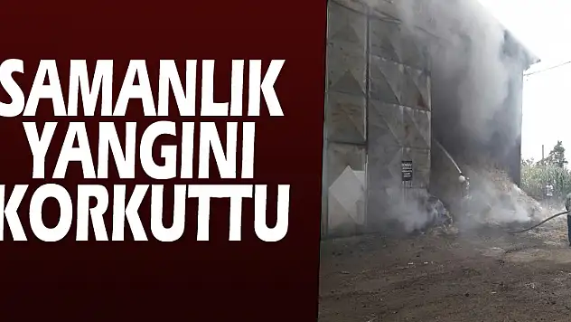 Samanlık yangını korkuttu