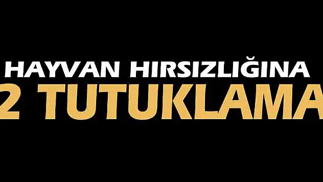 Samsun'da hayvan hırsızlığına 2 tutuklama