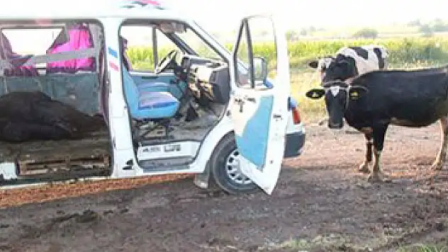 Hayvan hırsızlığı yapan şebekenin elebaşı tutuklandı