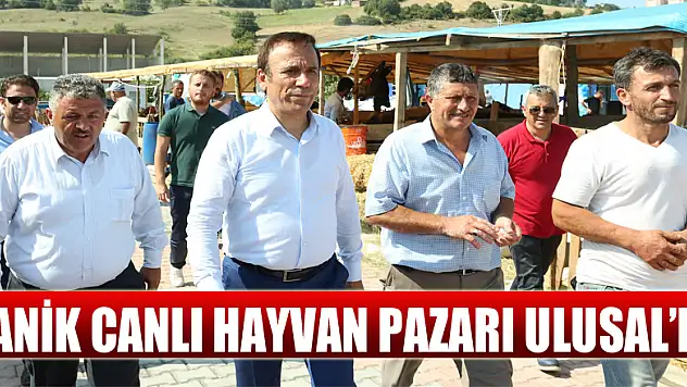 Canik Canlı Hayvan Pazarı Ulusal'da