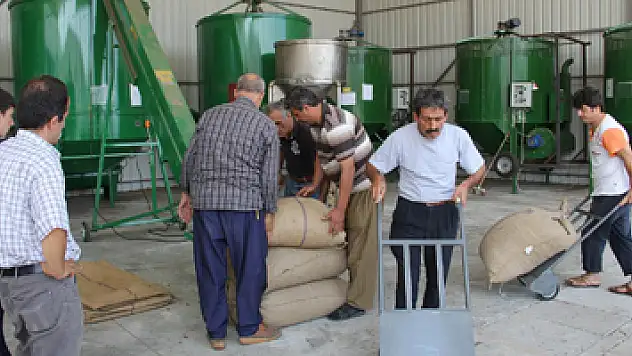 Yağmur, fındık kurutma makinelerine talebi arttırdı