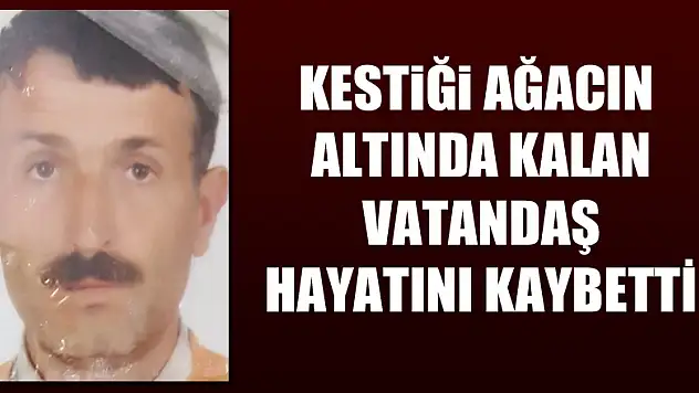 Kestiği ağacın altında kalan vatandaş hayatını kaybetti