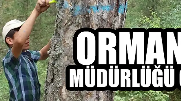Orman İşletme Müdürlüğü gençleştiriyor