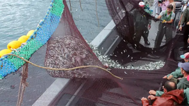 Denizlerde Av Yasağı Sona Erdi