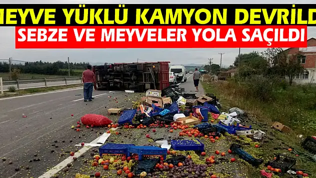 Meyve yüklü kamyon devrildi