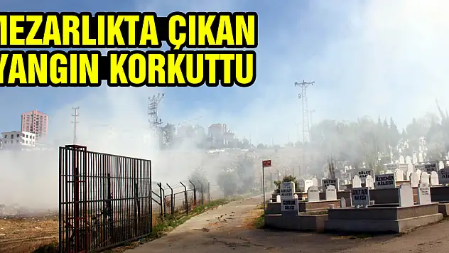 Mezarlıkta çıkan yangın korkuttu
