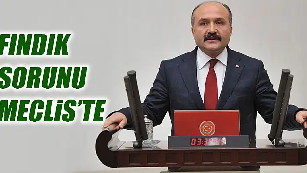 Fındık Sorunu meclis'te
