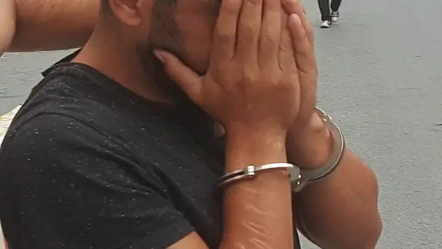 Evinde bonzai ele geçen şahıs tutuklandı