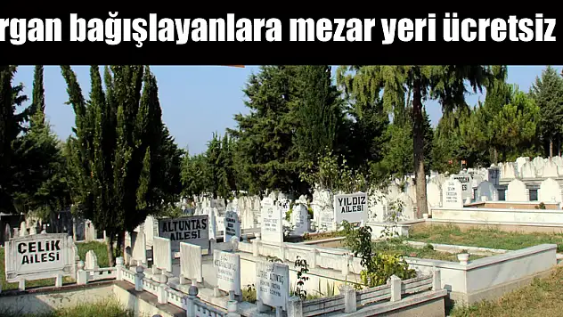 Organ bağışlayanlara mezar yeri ücretsiz 