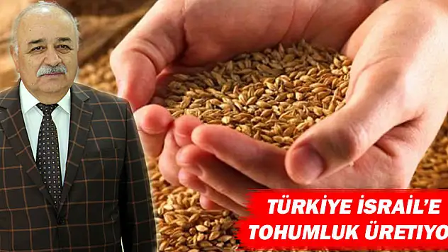 Taşan: 'Türkiye İsrail'e tohumluk üretiyor'