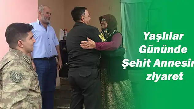 Yaşlılar Gününde Şehit Annesine ziyaret
