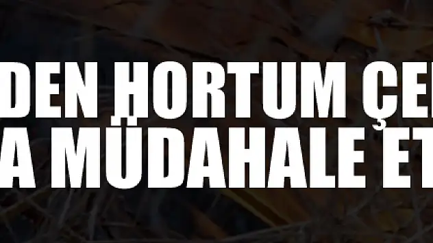 Evlerinden hortum çekerek yangına müdahale ettiler