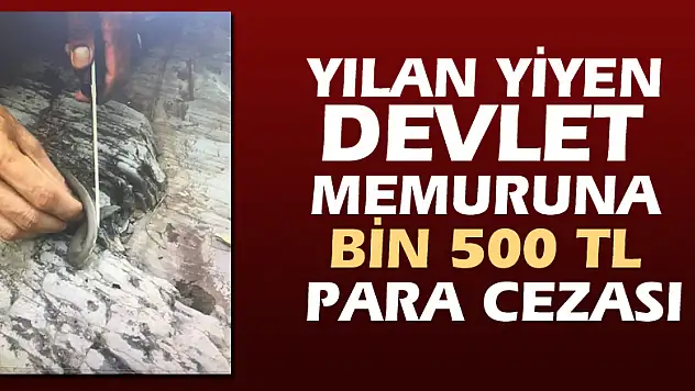 Yılan yiyen devlet memuruna bin 500 TL para cezası