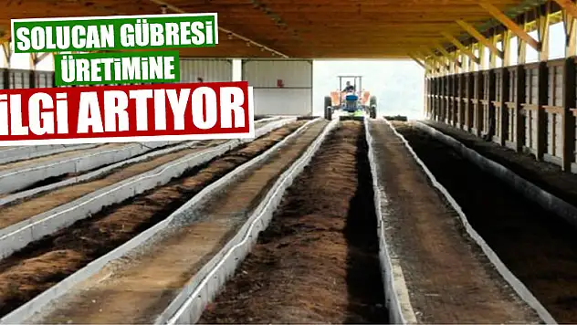 Solucan gübresi üretimine ilgi artıyor