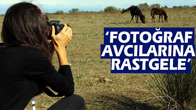 'Fotoğraf Avcılarına Rastgele'