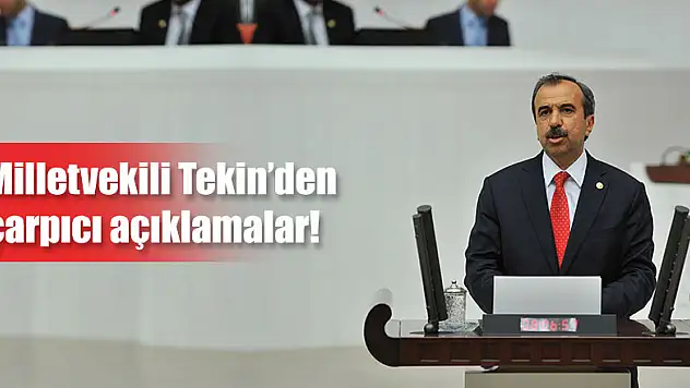 Milletvekili Tekin'den çarpıcı açıklamalar!