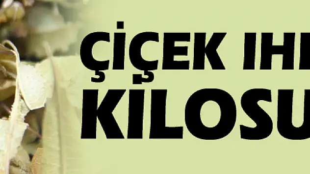 Çiçek ıhlamurun kilosu 200 TL