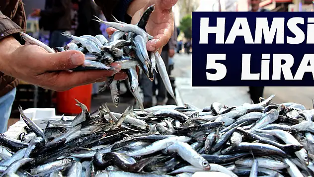 Hamsi 5 lira