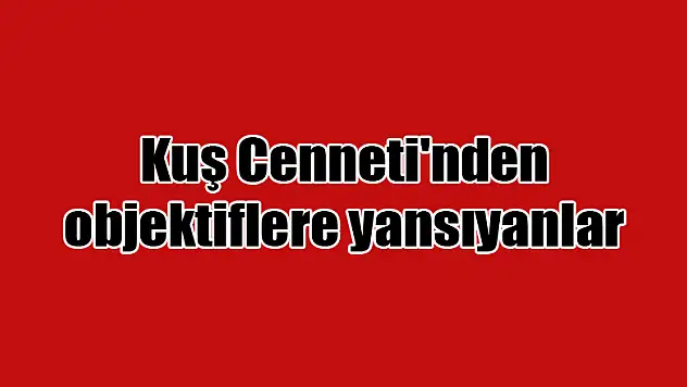 Kuş Cenneti'nden objektiflere yansıyanlar