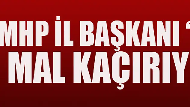 MHP İL BAŞKANI 'GÜMRÜKTEN MAL KAÇIRIYORSUNUZ?'