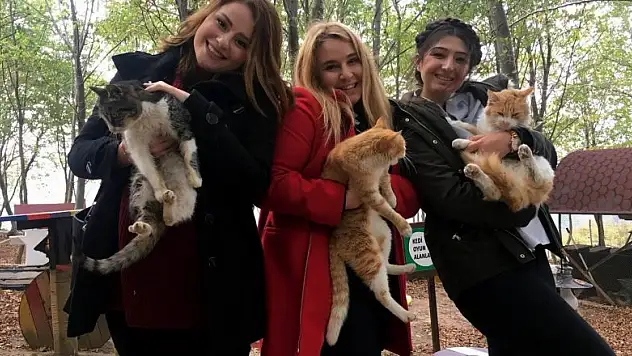 Geleceğin veterinerleri hayvan barınağında