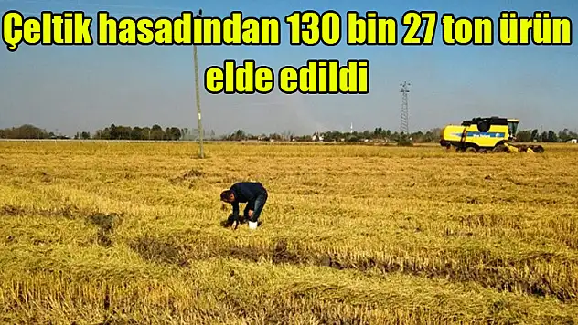 Samsun'da çeltik hasadından 130 bin 27 ton ürün elde edildi