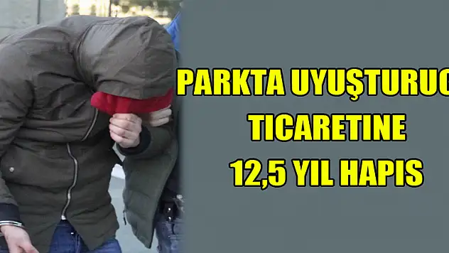 Parkta uyuşturucu ticaretine 12,5 yıl hapis