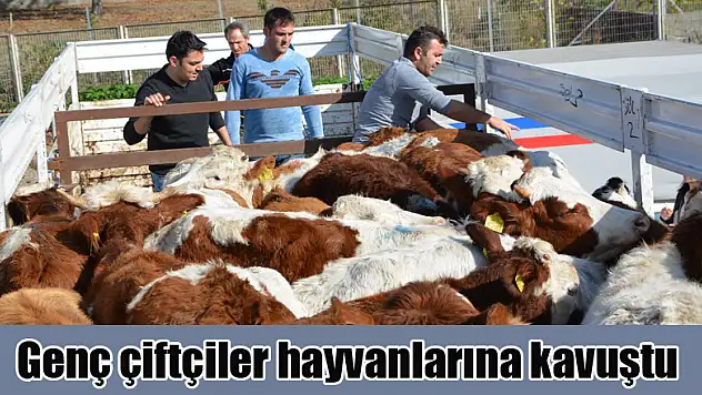 Genç çiftçiler hayvanlarına kavuştu 