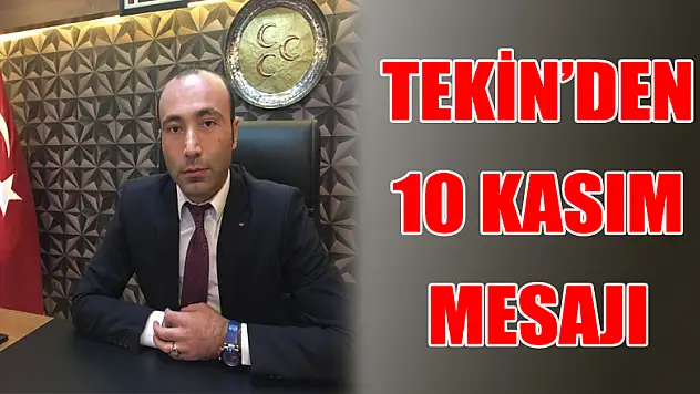 Tekin'den 10 Kasım mesajı