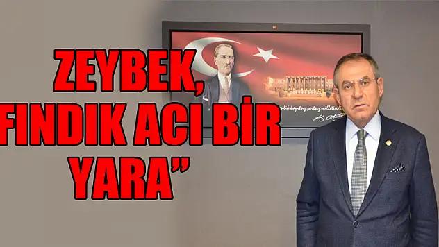 ZEYBEK, 'FINDIK ACI BİR YARA'