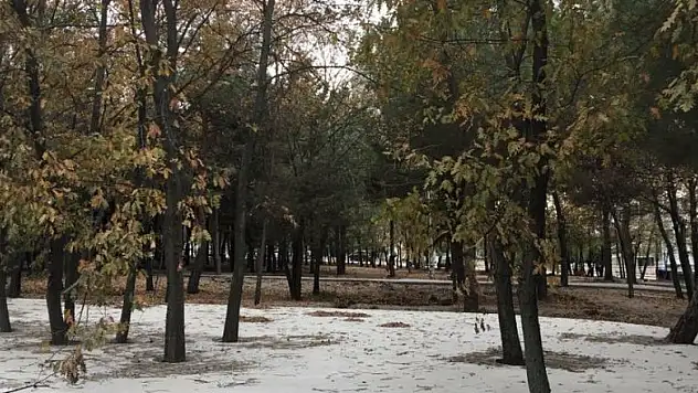 AKCAGÖZ: 'SİNCAPLAR SİZDEN DAVACI OLACAK'