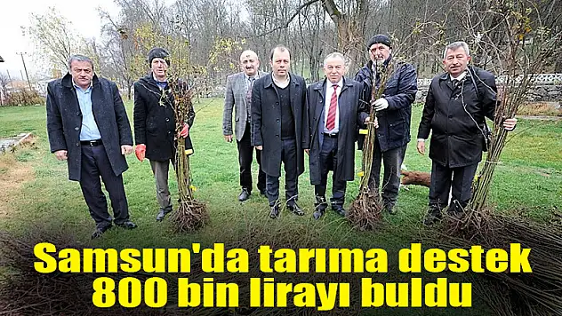 Samsun'da tarıma destek 800 bin lirayı buldu
