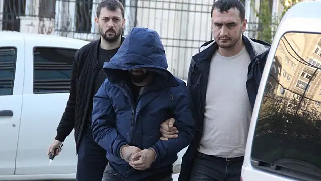 Evinde bonzai ele geçen genç tutuklandı