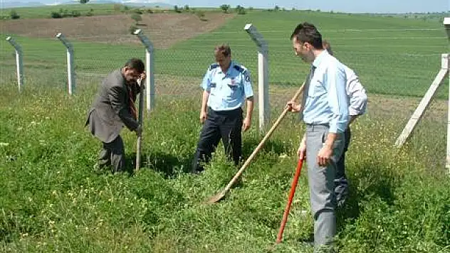 Cezaevi personeli fidan dikti