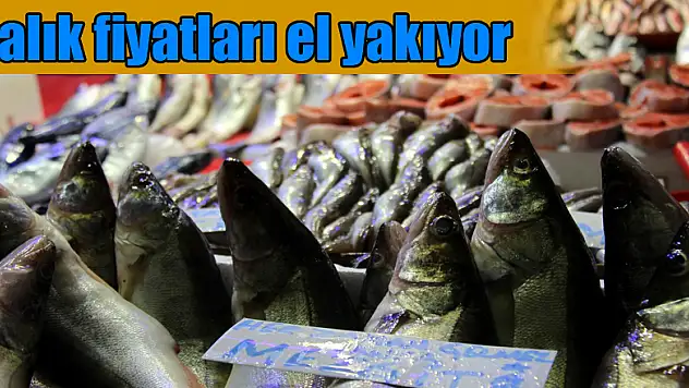 Balık fiyatları el yakıyor